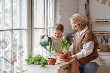 An elderly woman grandmother and a little girl granddaughter take care of and plant potted plants inside the house, do gardening in the spring for Earth Day