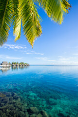 Wall Mural - tropical beach with palm tree on bora bora, french polynesia