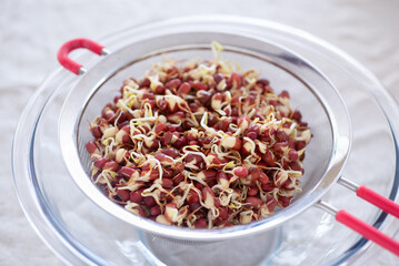 homemade red bean sprout in a strainer on a glass bowl.