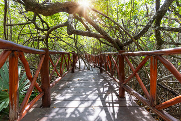 mexico tourism destination, cenote casa tortuga near tulum and playa del carmen.
