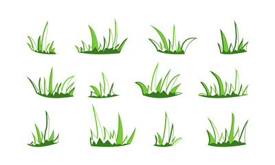 Wall Mural - Grass sketch bush vector drawn set, outline doodle meadow and landscape, line scribble lawn isolated on white background. Nature illustration