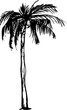 Grunge palm tree silhouette, tropic graphic ink illustration