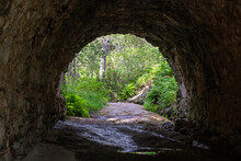 Forest Landscape. Stone Arch Bridge In A Coniferous Forest. The Road Under The Bridge Leads To The Forest. A Dried-up River Under The Bridge.