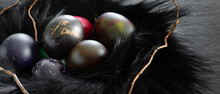 Black Fur Nest With Painted Eggs. Festive Easter Banner With Branches. Concept Design.