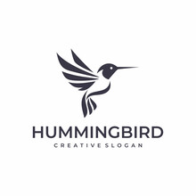 Hummingbird Logo Design Vector Template

