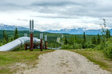 The Trans-Alaska Oil Pipeline
