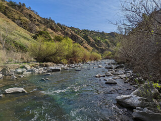 Wall Mural - Looking down stream at cache creek in Capay valley