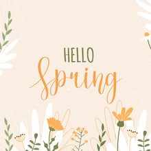 Hello Spring. Cream Vector Banner With Yellow And White Spring Flowers