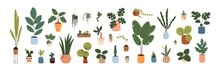 Potted Plants Set. Interior Houseplants In Planters, Baskets, Flowerpots. Home Indoor Green Decor. Different Succulents, Cacti, Foliage. Flat Graphic Vector Illustrations Isolated On White Background
