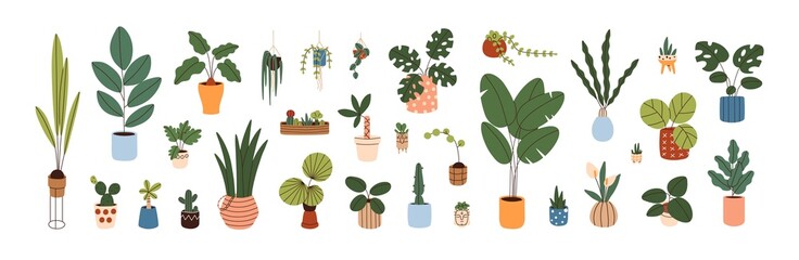 Wall Mural - Potted plants set. Interior houseplants in planters, baskets, flowerpots. Home indoor green decor. Different succulents, cacti, foliage. Flat graphic vector illustrations isolated on white background