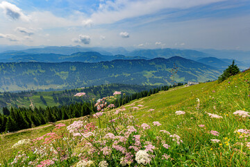 Poster - View from the Hochgrat, a summit in the alps near Oberstaufen in Allgäu, Bavaria, Germany.