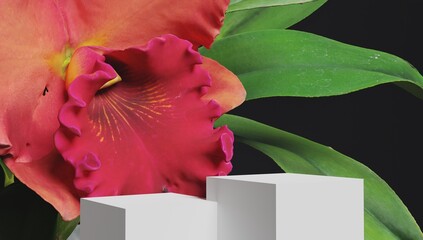 Wall Mural - White square podium for display cosmetic and goods with hovering flow of fresh spring flowers on black background. 3d rendering.