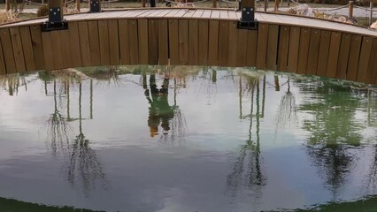 Wall Mural - reflections in water with wooden bridge