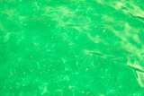 Fototapeta Kuchnia - Bright green acid slime, texture unusual liquid transparent material, background texture