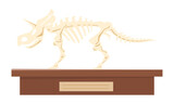 Fototapeta Dinusie - Dinosaur fossil skeleton semi flat color vector object. Exhibit component. Full sized item on white. Dinosaur museum simple cartoon style illustration for web graphic design and animation
