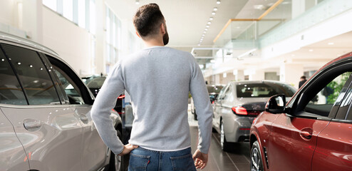 Wall Mural - customer in car dealership showroom looking at new cars