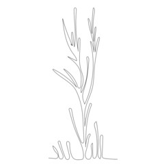 Wall Mural - algae drawing in one continuous line