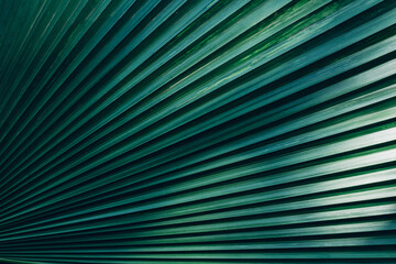 Canvas Print - abstract palm leaf texture, dark green foliage nature background.