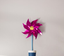 Bright Cyclamen Colored Windmill Toy Growing Out Of A Blue And White Flower Pot On Minimal Background.