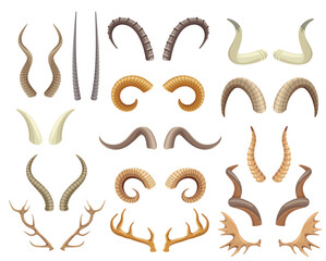 animal horns and antlers, antelope, ram, moose, reindeer horn. wild animals hunting trophies, deer a