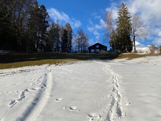 Wonderful winter hiking trails and traces on the slopes of the Alpstein mountain range and in the fresh alpine snow cover of the Swiss Alps - Unterwasser, Switzerland (Schweiz)