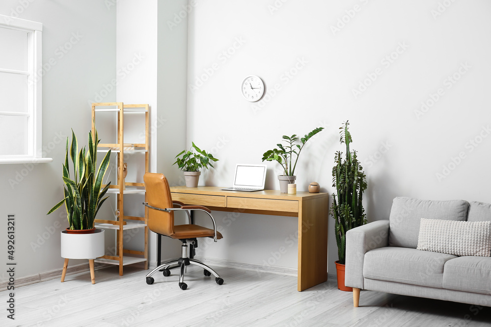Interior of light room with modern workplace, shelving unit and houseplants