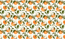 Floral Pattern With Clementine, Tangerine, Mandarin, Orange Fruit And White Citrus Flowers