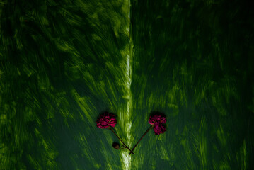 Two red flowers on a green background painted with acrylic paint. 