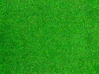 Green grass texture background grass garden concept used for making green background football pitch, Grass Golf, green lawn pattern textured background..