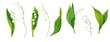 Watercolor clip art 8 elements. Lilies of the valley. Branches and leaves. White spring flowers.