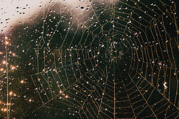 abstract spider net with glowing water drops
