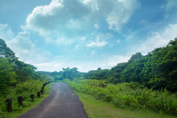 Grey road between forest , Nature photography, Forest road under cloudy blue sky Kerala India
