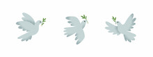 Three Doves Of Peace Icons In Vector. Flying Pigeon Holding An Olive Branch Illustration.