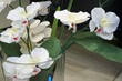 Weiße Orchidee in Blumenvase aus Glas auf Holzfläche 
