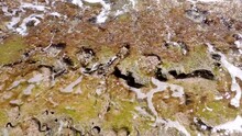 Algae Covered Rocks With Ocean Waves Washing Over