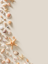 Seashells And Starfish With Shadows On Beige Pastel Background At Sunlight. Summer Vacation Concept. Nautical Design. Modern Flat Lay Shells, Sea Stars, Stones Minimal Style Card. Top View