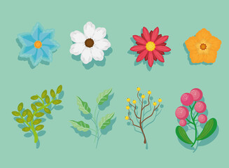 Wall Mural - eight plants and flowers