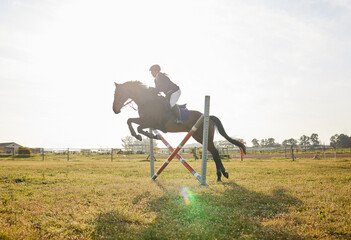 Canvas Print - I trained for this. Shot of a young rider jumping over a hurdle on her horse.