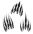 Angry bear claw marks and scratches of wild animal paws attack. Vector bear monster slash traces or grizzly beast torn tracks with scary nails, talons and ripped holes on white background