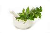 Fototapeta Lawenda - Fresh herbs in mortar and pestle