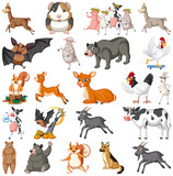 Fototapeta Pokój dzieciecy - Set of different kids of animals