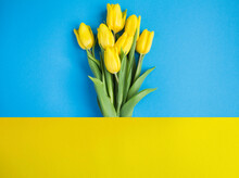 Bouquet Of Yellow Tulips On The Colored Background. Copy Space.