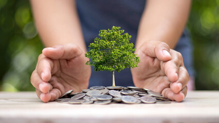 Wall Mural - Plant a tree on a pile of coins and a farmer's hand. Economic growth and environmental investment concepts.