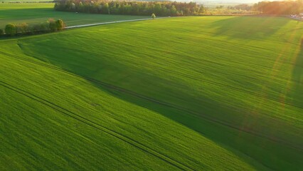 Sticker - Aerial footage of a agricultural land and cultivated fields. Filmed in UHD 4k video.