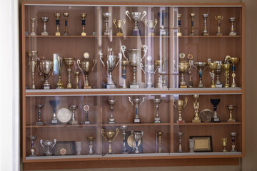 Trophy display case shelf made of glass and wood full of gold and silver trophies, rewards and cups.