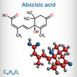 Abscisic acid, ABA  molecule. It is dormin, plant hormone. Structural formula, molecule model