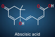 Abscisic acid, ABA  molecule. It is dormin, plant hormone. Structural formula on the dark blue background