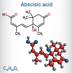 Poster - Abscisic acid, ABA  molecule. It is dormin, plant hormone. Structural formula, molecule model