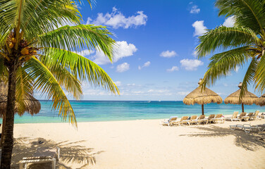 Wall Mural - Tropical beach with palm trees and boats in distance on a sunny day