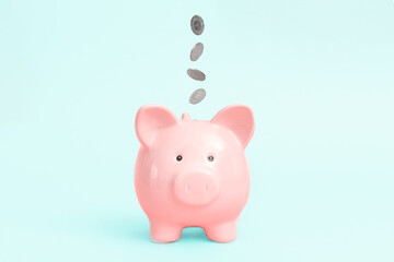 Wall Mural - Piggy bank on blue background, budgeting concept